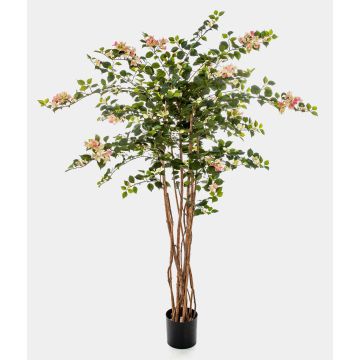 Fake Bougainvillea OGMA, natural stems, flowers, yellow-light pink, 5ft/150cm