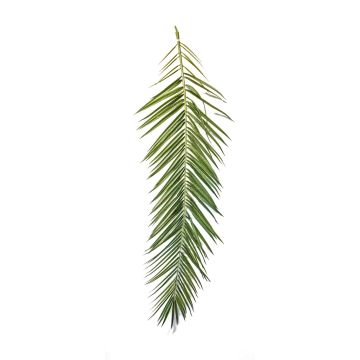 Artificial phoenix palm frond MARFIK, 15 pieces, 5ft-6ft/150-180cm