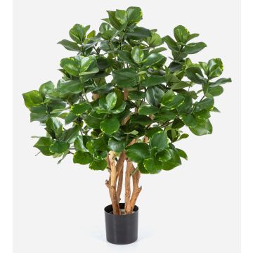 Artificial Clusia MAASYM, real stems, green, 33"/85cm
