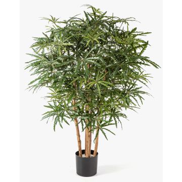 Artificial Aralia MAKASIM, real stems, green, 4ft/115cm Artificial Aralia MAKASIM, real stems, green, 4ft/115cm