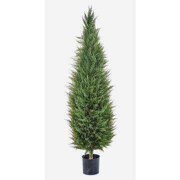 Artificial cypress MEKBUDA, green, 5ft/150cm Artificial cypress MEKBUDA, green, 5ft/150cm