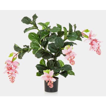 Artificial medinilla ALDORA, light pink, 30"/75cm