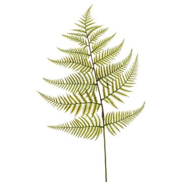 Western sword fern artificial leaf MBALI, green, 31"/80cm