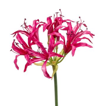 Artificial garden amaryllis BAIMAI, fuchsia, 30"/75 cm