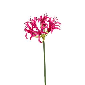 Artificial garden amaryllis BAIMAI, fuchsia, 30"/75 cm