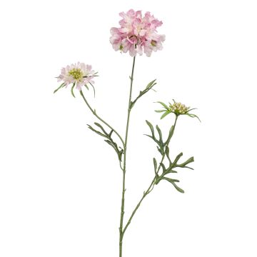 Artificial Scabiosa MARUA, pink, 31"/80 cm