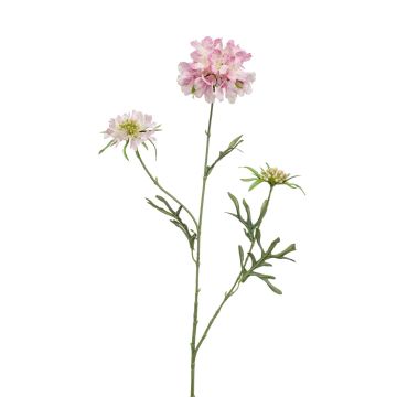 Artificial Scabiosa MARUA, pink, 31"/80 cm