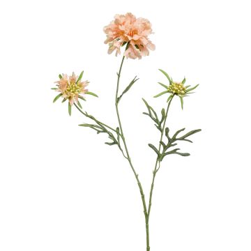 Artificial Scabiosa MARUA, peach, 31"/80 cm
