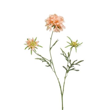 Artificial Scabiosa MARUA, peach, 31"/80 cm