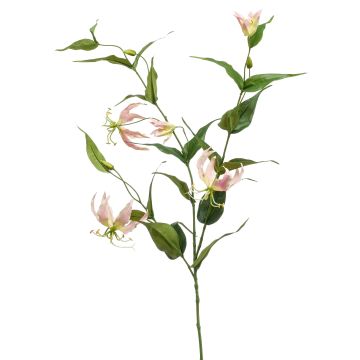 Artificial Gloriosa WARIS pink-cream, 4ft/120 cm