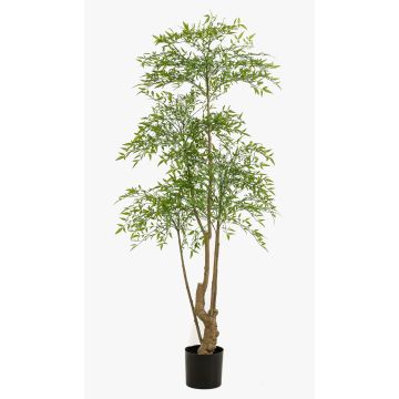 Artificial butcher's-broom tree KHALED, synthetic trunk, green, 6ft/180 cm