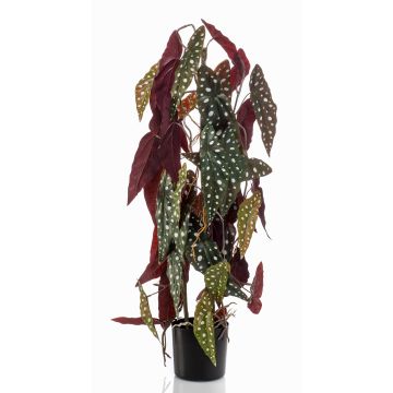 Artificial polka dot begonia MICHIKO, green-white, 30"/75 cm