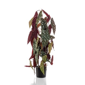 Artificial polka dot begonia MICHIKO, green-white, 30"/75 cm Artificial polka dot begonia MICHIKO, green-white, 30"/75 cm