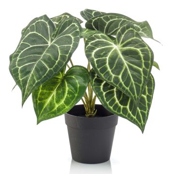 Artificial anthurium TESHI, green-cream, 10"/25 cm