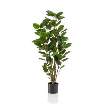 Artificial feather aralia FAUZIA, synthetic trunk, 3ft/105 cm Artificial feather aralia FAUZIA, synthetic trunk, 3ft/105 cm