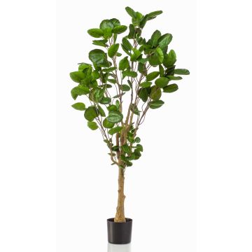 Artificial feather aralia FAUZIA, synthetic trunk, 5ft/150 cm