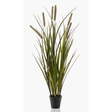 Artificial reedgrass ZWENA with panicles, green-yellow, 33"/85 cm