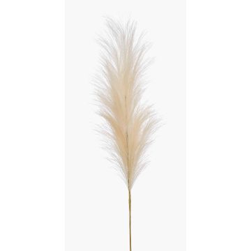 Artificial pampas grass panicle AMATSIA, cream, 4ft/115 cm