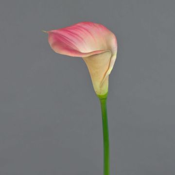 Calla lily silk flower DAISCHI, pink-cream, 28"/70 cm Calla lily silk flower DAISCHI, pink-cream, 28"/70 cm