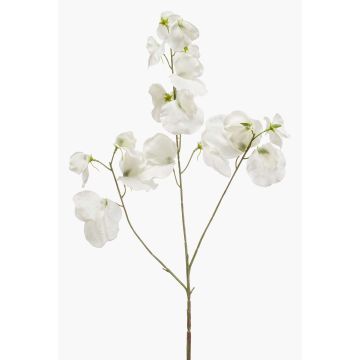 Artificial sweet pea KANZI, cream, 30"/75 cm