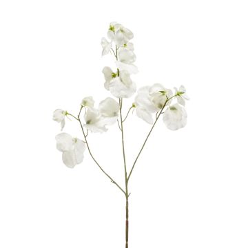 Artificial sweet pea KANZI, cream, 30"/75 cm