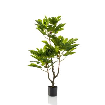 Artificial fig tree TAPIWA with fruits, synthetic trunk, green, 3ft/95 cm Artificial fig tree TAPIWA with fruits, synthetic trunk, green, 3ft/95 cm