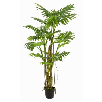 Artificial Philodendron Selloum EDHEM, 6ft/195cm Artificial Philodendron Selloum EDHEM, 6ft/195cm