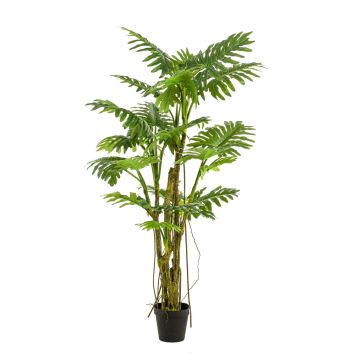 Artificial Philodendron Selloum EDHEM, 6ft/195 cm Artificial Philodendron Selloum EDHEM, 6ft/195 cm