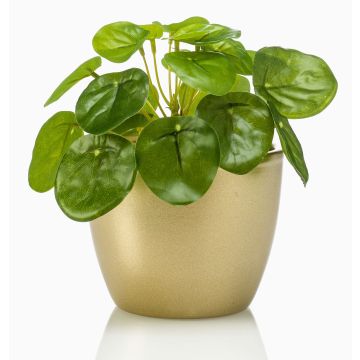 Artificial chinese money plant SYBIL in ceramic pot gold, green, 5"/13cm