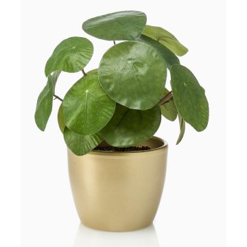 Artificial chinese money plant SYBIL in ceramic pot gold, green, 8"/20cm