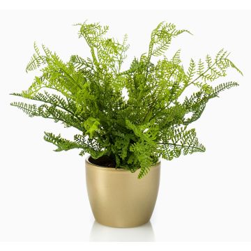 Artificial lady fern HANNU in ceramic pot gold, green, 16"/40 cm Artificial lady fern HANNU in ceramic pot gold, green, 16"/40 cm