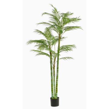 Artificial areca palm tree AKANE, 7ft/200 cm Artificial areca palm tree AKANE, 7ft/200 cm