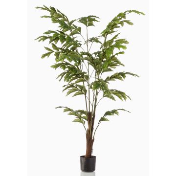 Artificial fishtail palm AIDING, 5ft/155 cm