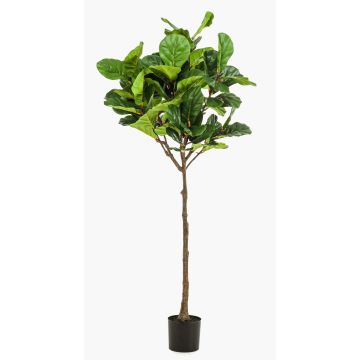 Artificial Ficus Lyrata ABIULA, real trunk, green, 6ft/195 cm