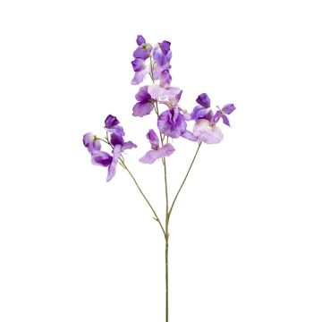 Artificial sweet pea KANZI, purple, 30"/75 cm