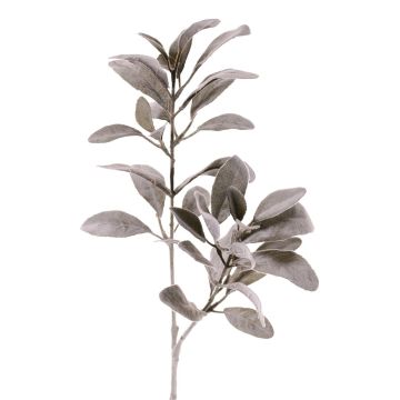Artificial woolly spirea branch VEVEY, grey-green, 28"/70cm Artificial woolly spirea branch VEVEY, grey-green, 28"/70cm
