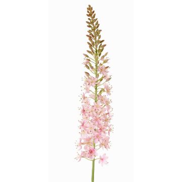 Large artificial flower: SELINA steppe candle, light pink, 3ft/105cm, Ø3.5"/9cm