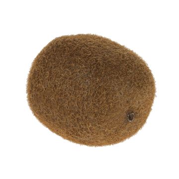 Plastic Kiwi SURATA, brown, 2.4"/6cm Plastic Kiwi SURATA, brown, 2.4"/6cm