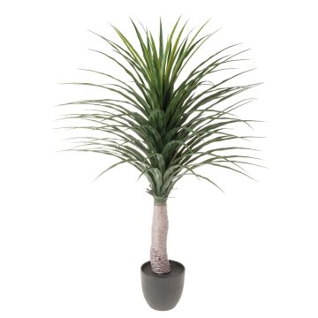 Plastic yucca DENDES in decorative pot, 4ft/120cm