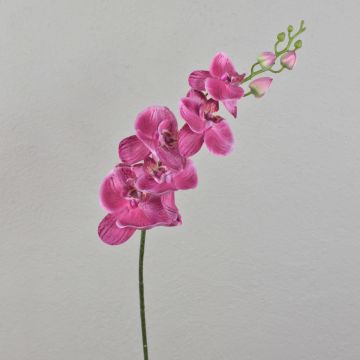 Phalaenopsis orchid artificial stem AMARNE, fuchsia , 3ft/90cm