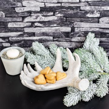 Christmas time is biscuit time Christmas time is biscuit time