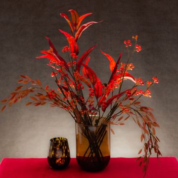 Relight my Fire Relight my Fire