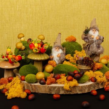 Dwarf visit in the Shire Dwarf visit in the Shire