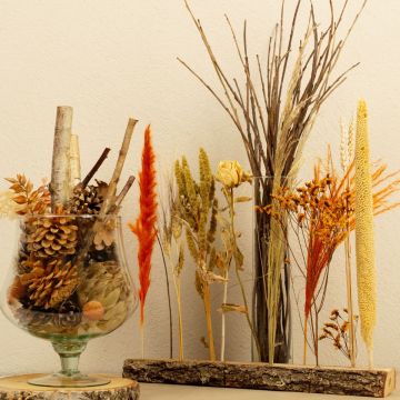 Natural Late Summer Dream