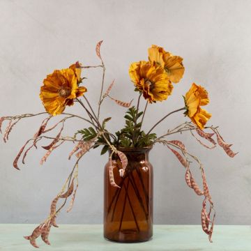 Golden autumn - Series Part 1 Golden autumn - Series Part 1