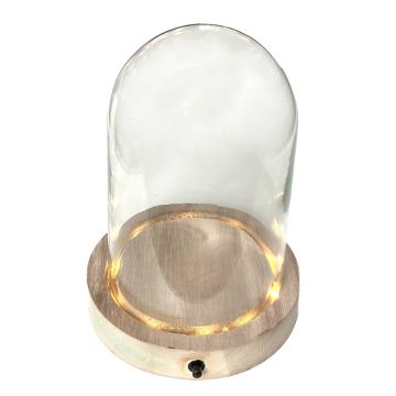 Glass dome BENIGNA with LEDs, wooden base, transparent, 4.3"/11cm, Ø4"/10cm Glass dome BENIGNA with LEDs, wooden base, transparent, 4.3"/11cm, Ø4"/10cm