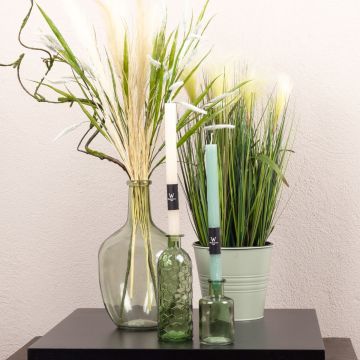 Green Summer Green Summer