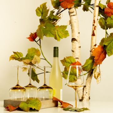 A beautiful summer evening with wine A beautiful summer evening with wine