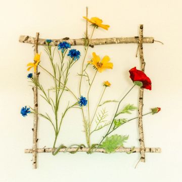 The framed flower meadow The framed flower meadow