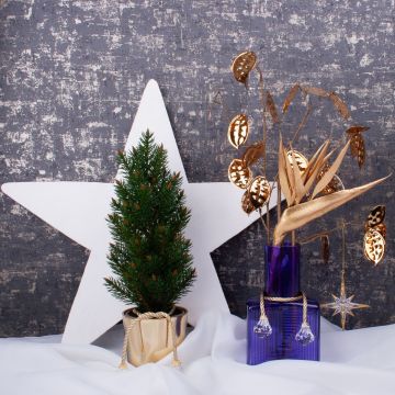 Christmas Royal Christmas Royal